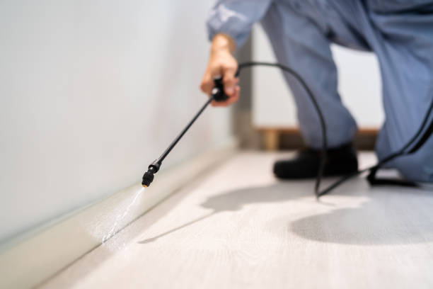 Rodent Entry Point Assessment in Barberton