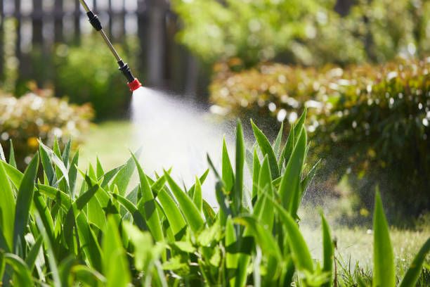 Tamper-Resistant Bait Stations for Rodents in Barberton