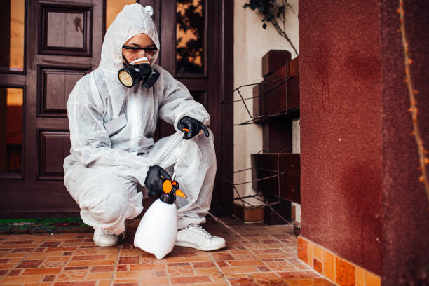 Attic and Crawl Space Rodent Treatment in Barberton